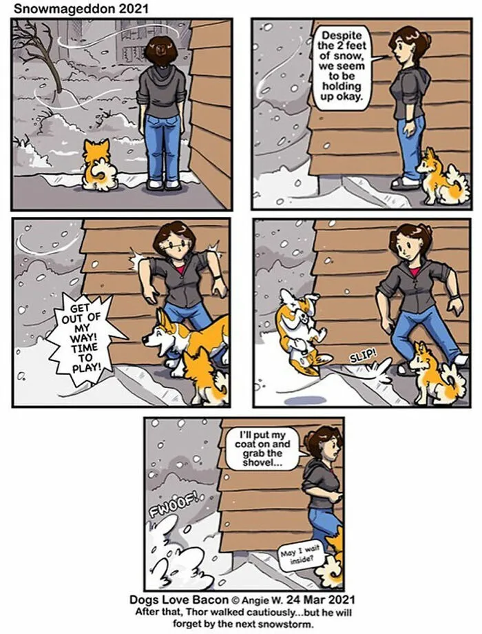 I Illustrate My Life With Two Rescue Dogs, And Here Are My Best 19 Comics