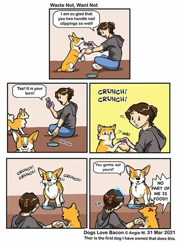 I Illustrate My Life With Two Rescue Dogs, And Here Are My Best 19 Comics