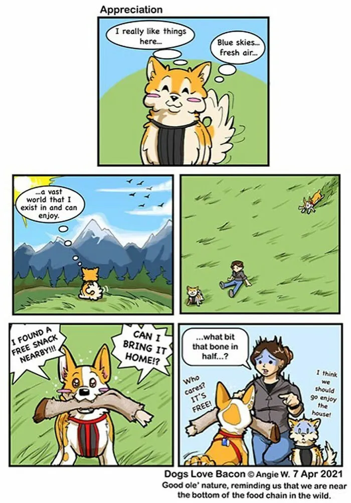 I Illustrate My Life With Two Rescue Dogs, And Here Are My Best 19 Comics