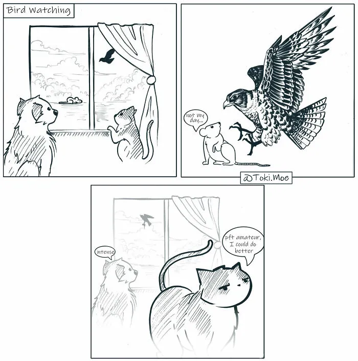 Here Are 30 More Relatable Comics About Life With Animals