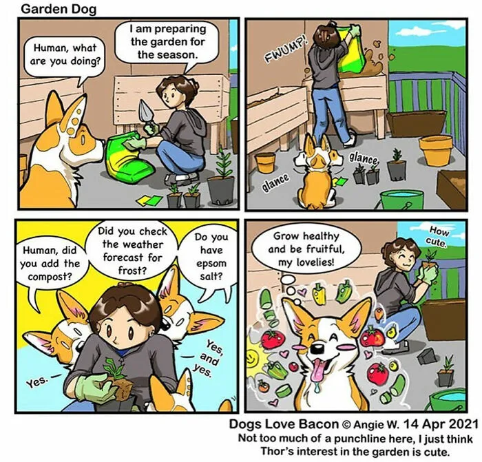 I Illustrate My Life With Two Rescue Dogs, And Here Are My Best 19 Comics