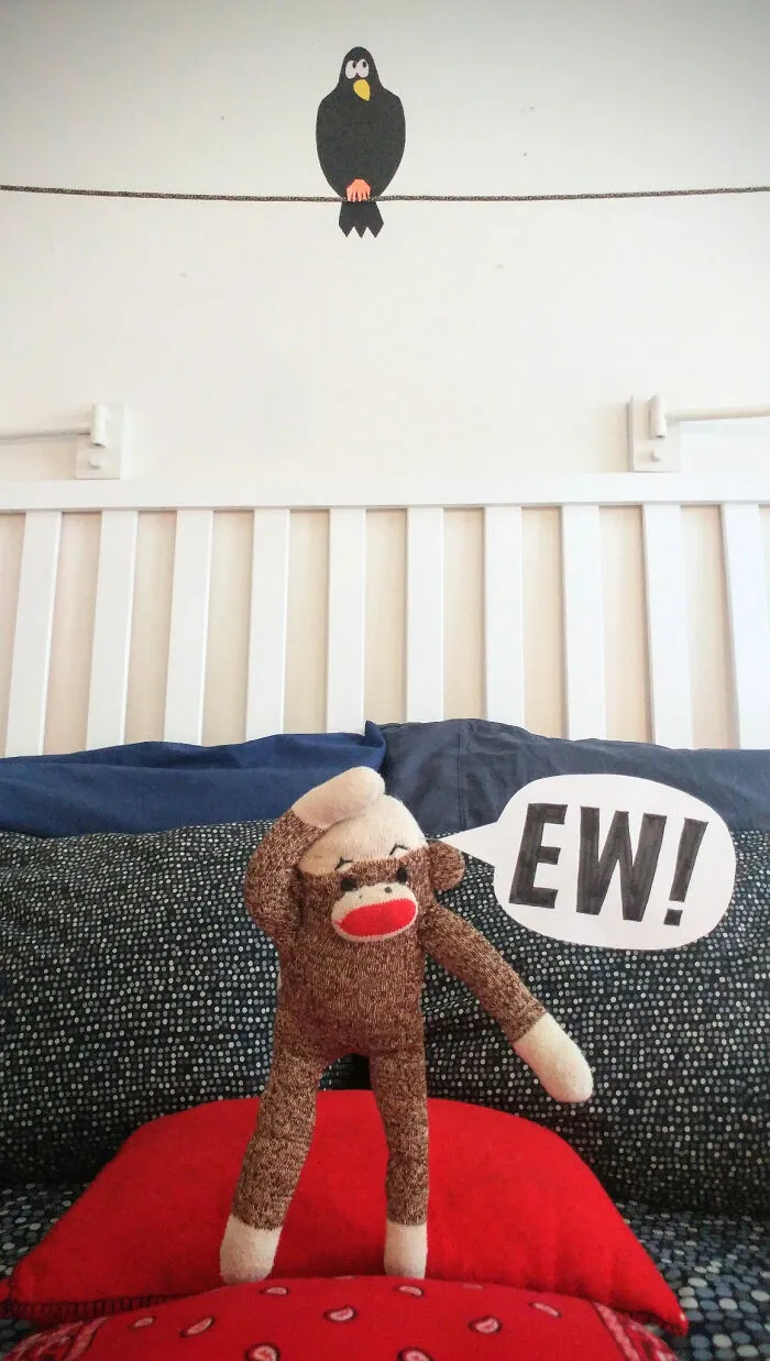 During The Pandemic, I Try To Amuse My Wife With This Sock Monkey, And I Hope It Will Amuse You Too (60 New Pics)