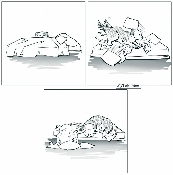Here Are 30 More Relatable Comics About Life With Animals