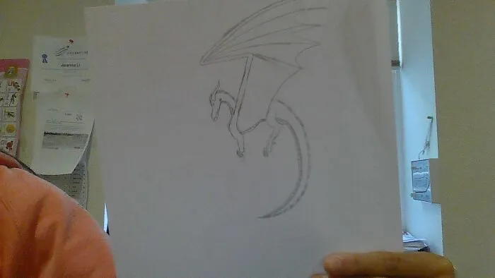 My Style? Dragon.