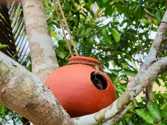 I Discovered The Beauty That's Around Us (7 Pics)