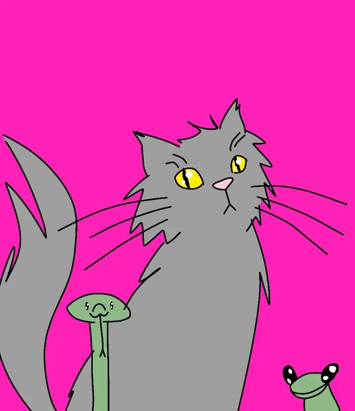Snakes, Cats And Frogs :)
