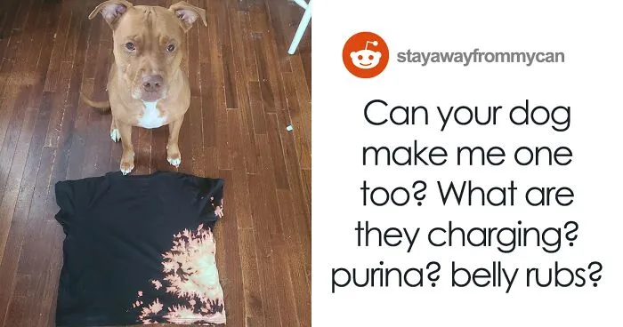 Pit Bull Accidentally Redesigns His Owner's Ordinary T-Shirt Into An Extraordinary One