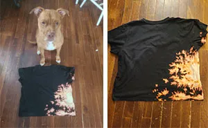 Pit Bull Accidentally Redesigns His Owner's Ordinary T-Shirt Into An Extraordinary One