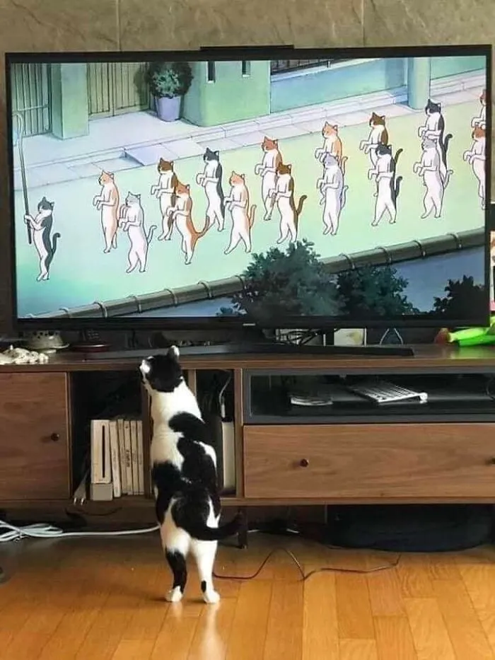 This Page Posts Pics Of Animals With Powerful Auras, And Here Are 50 Of The Most Interesting Pics (New Ones)
