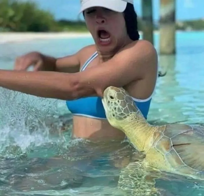 This Page Posts Pics Of Animals With Powerful Auras, And Here Are 50 Of The Most Interesting Pics (New Ones)