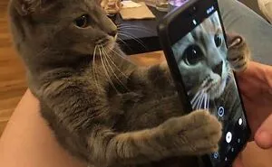 This Page Posts Pics Of Animals With Powerful Auras, And Here Are 50 Of The Most Interesting Pics (New Ones)