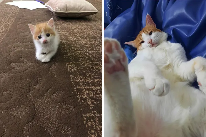 Befor And After
