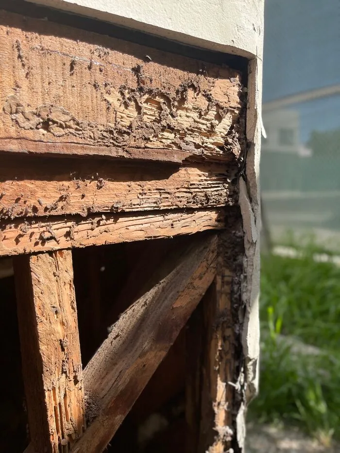 30 Engineering ‘Nightmares' And ‘Miracles' Discovered During Structural Inspections By This Company