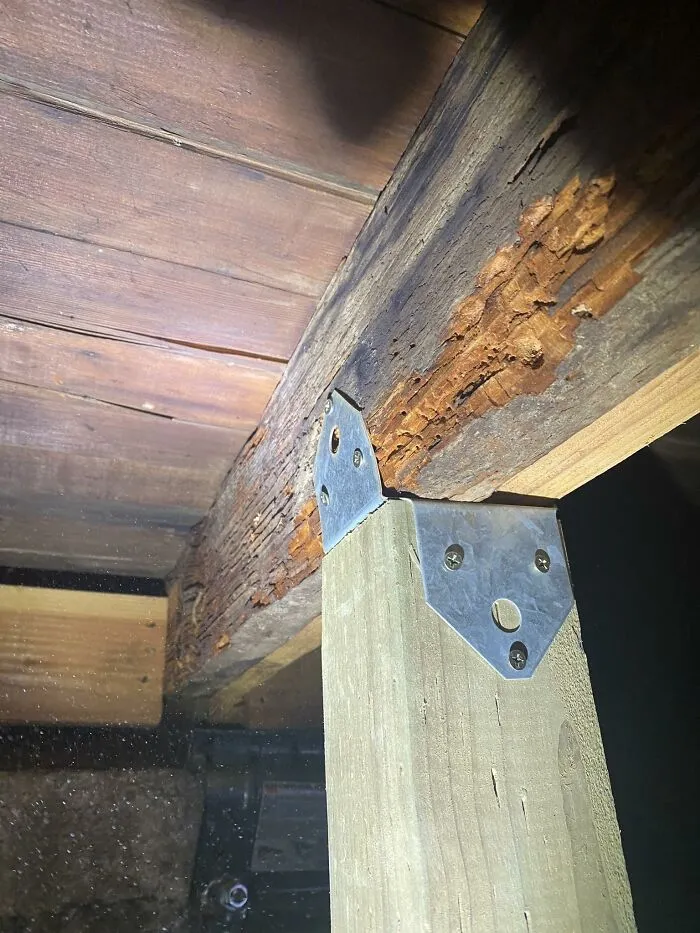 22 «Pesadillas» y «milagros» vistos durante inspecciones estructurales (nuevas fotos)