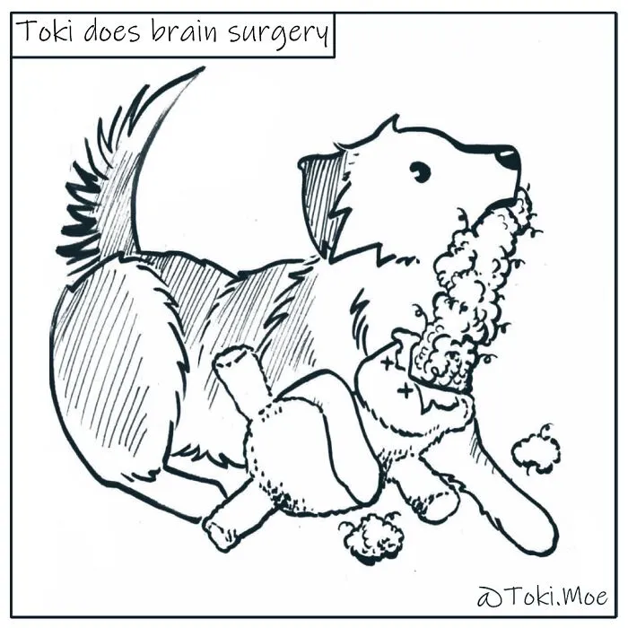 Here Are 30 More Relatable Comics About Life With Animals