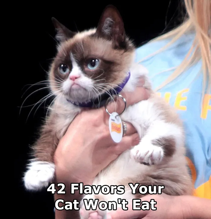 Friskies