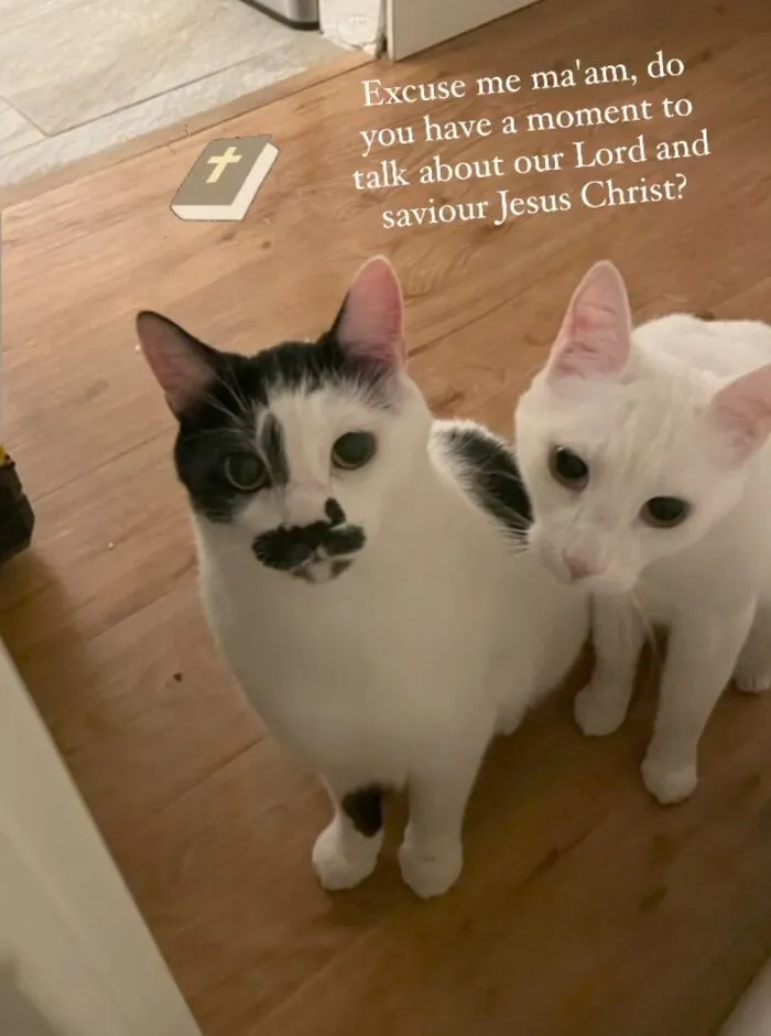 They Are Everywhere