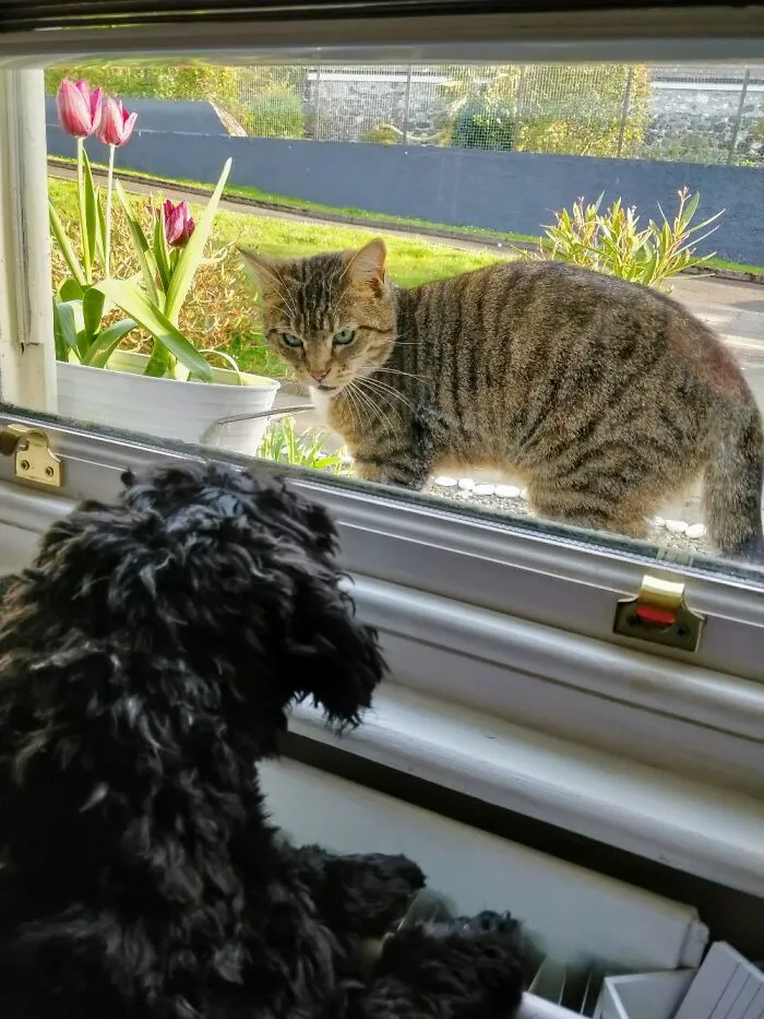 Nice To Meet You