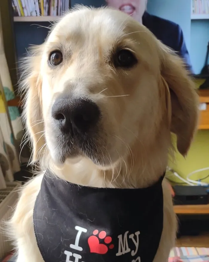 @gentthegolden