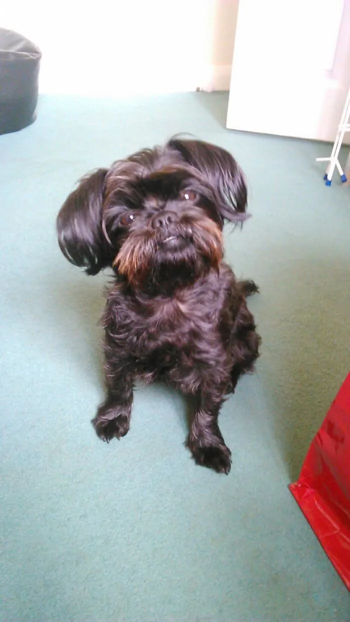 My Little Holly Smiling ☺