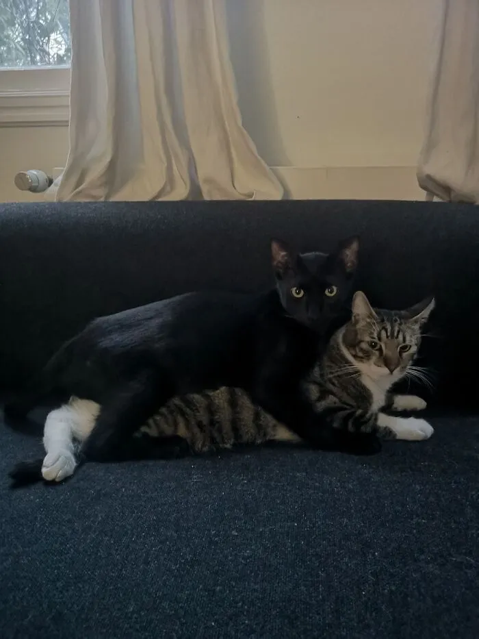 Brothers For Life