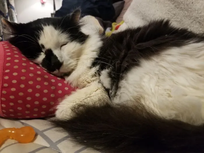 My Old Man!!  He's Gonna Be 18 On May 5th!!