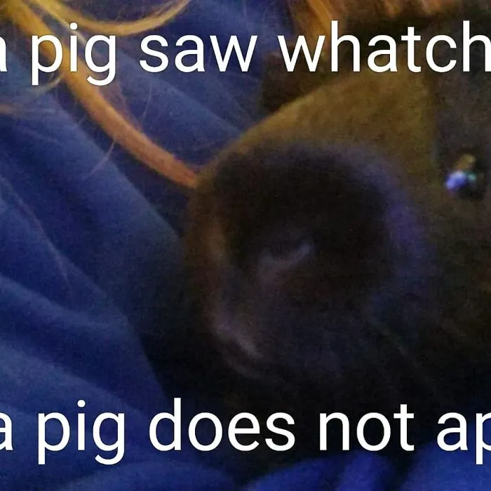 - -