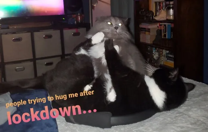 Not Having It.