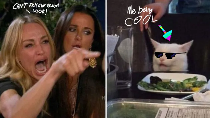 Heyo, Cool Cats