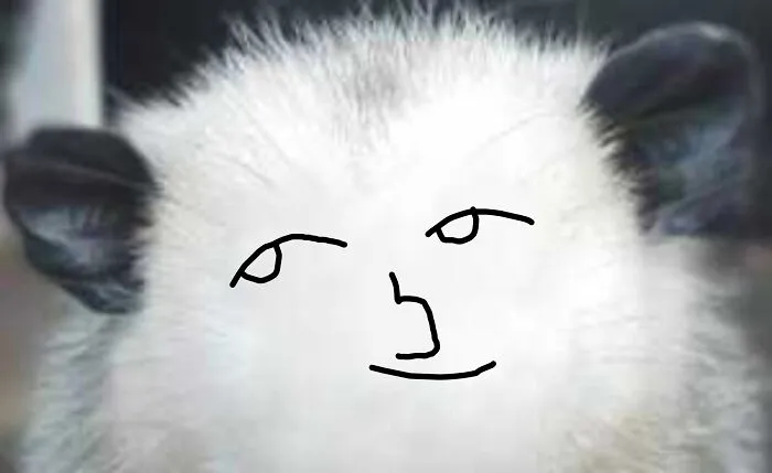 Heyyyyyyyyyy...