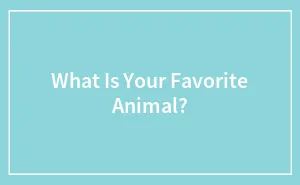 What Is Your Favorite Animal?