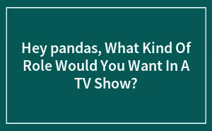 Hey pandas, What Kind Of Role Would You Want In A TV Show? (Closed)