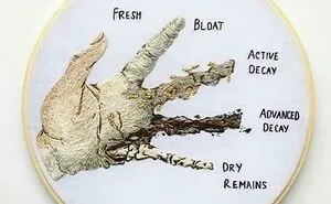 Hey Pandas, Share A Few Horrifying Or Weird Pictures From School Textbooks (Closed)