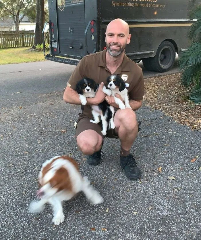 35 Conductores de UPS que se encontraron perros en sus rutas y compartieron las fotos en este grupo (Nuevas imágenes)