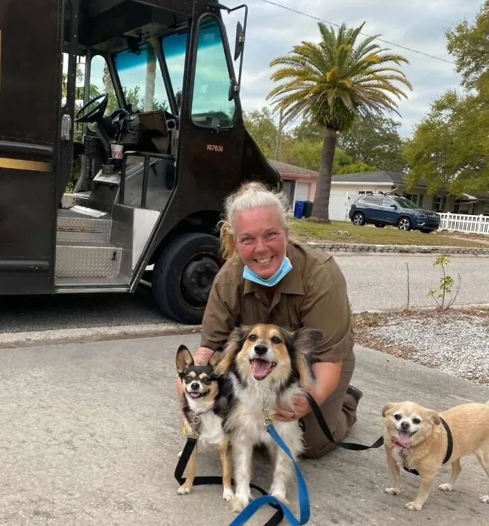 35 Conductores de UPS que se encontraron perros en sus rutas y compartieron las fotos en este grupo (Nuevas imágenes)