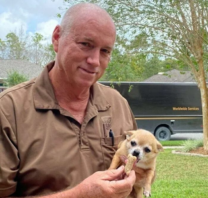 35 Conductores de UPS que se encontraron perros en sus rutas y compartieron las fotos en este grupo (Nuevas imágenes)