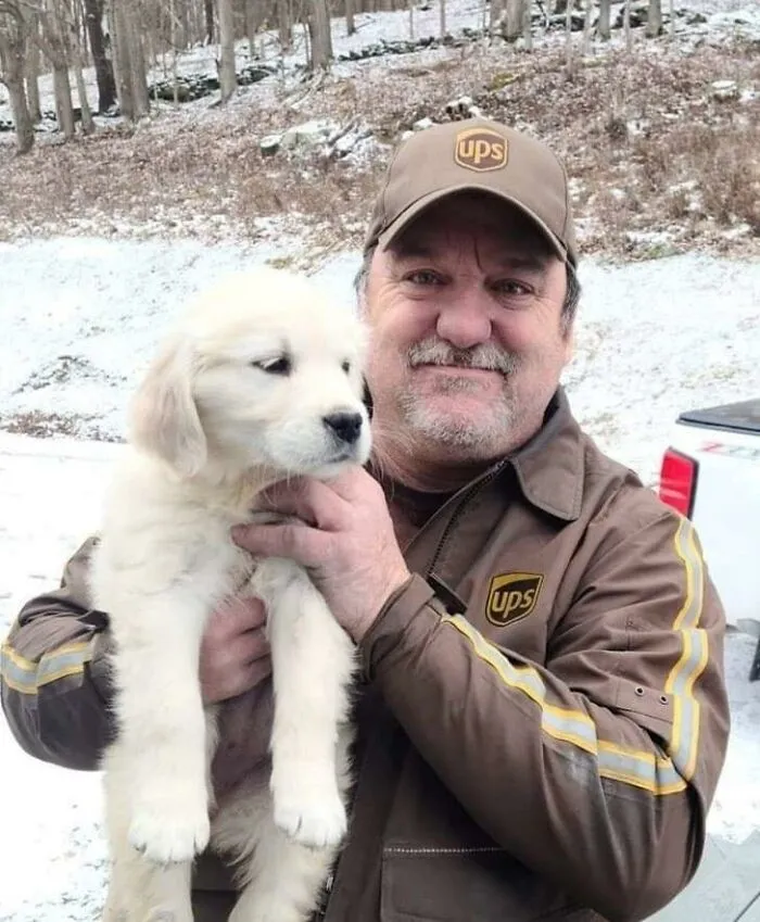 35 Conductores de UPS que se encontraron perros en sus rutas y compartieron las fotos en este grupo (Nuevas imágenes)