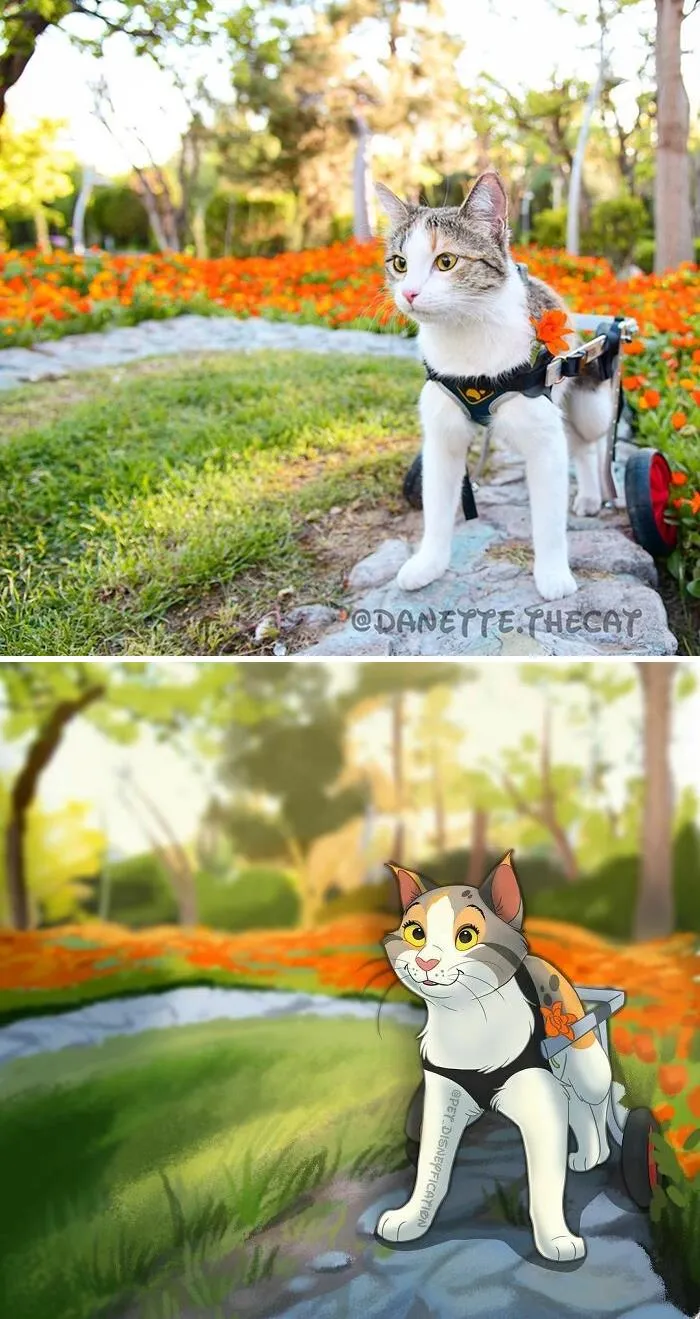 La gente envía fotos de sus mascotas a esta artista y ella las disneyfica (30 imágenes nuevas)
