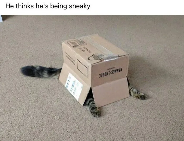 He Thinks He's Being Sneaky