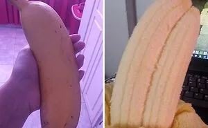 50 "Absolute Unit" Posts That Show Just How Big Things Can Get (New Pics)