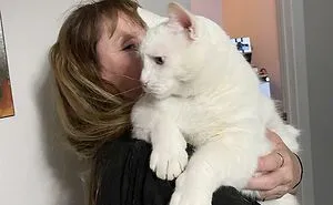 50 "Absolute Unit" Posts That Show Just How Big Things Can Get (New Pics)
