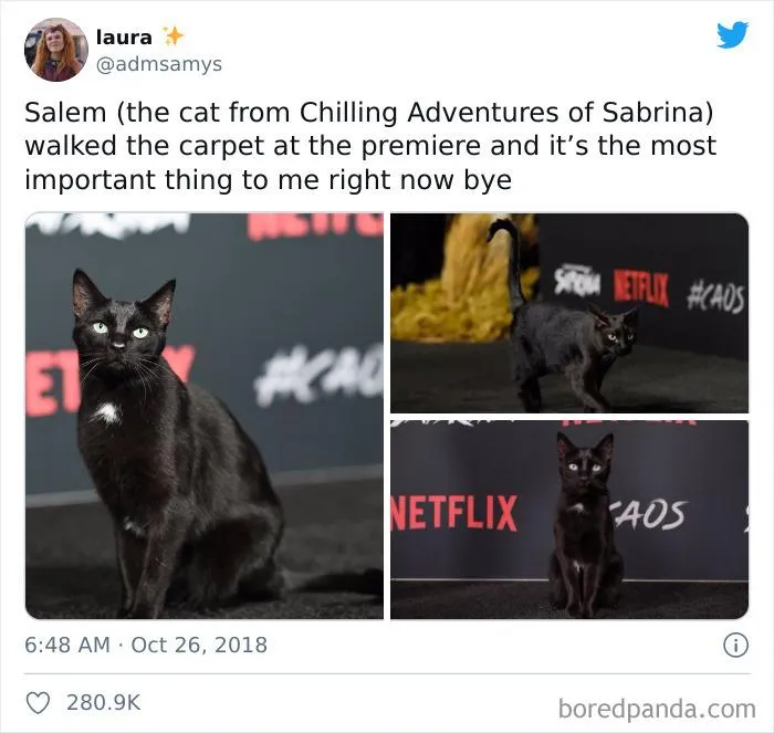 Professional Actor! Cactor? No?