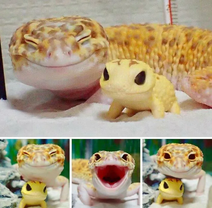 Look How Happy!!