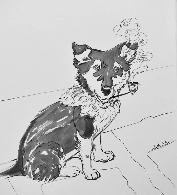 Shep