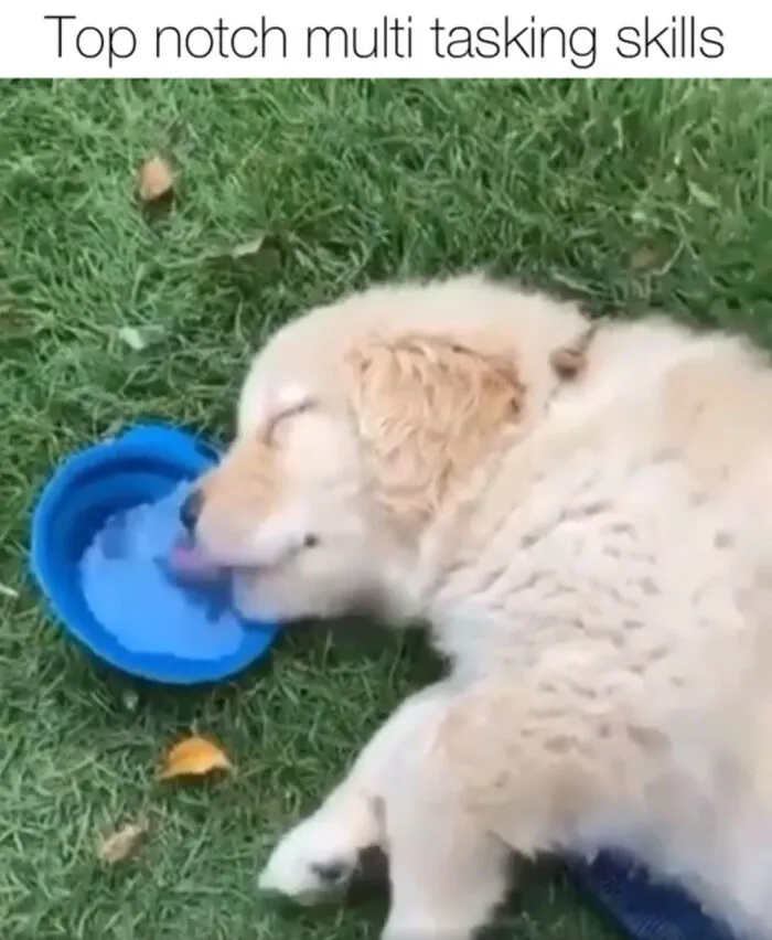 Drink.exe