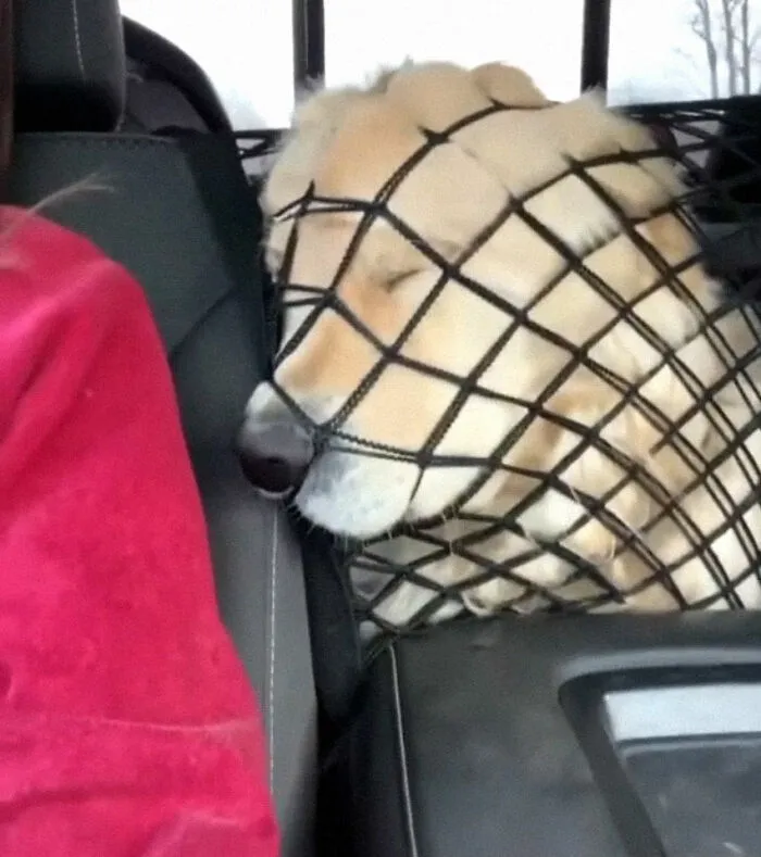 Not The Brightest, Definitely The Cutest