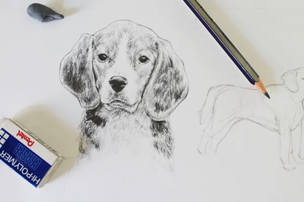 Draw A Picture Of Your Pet