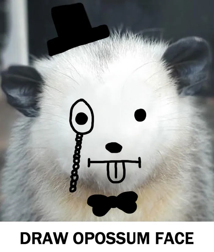 Fancy Fellow
