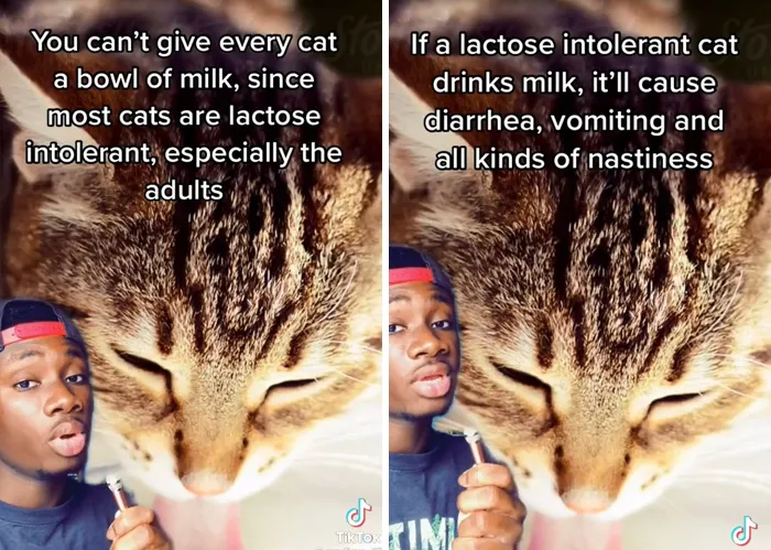 Guy Exposes 24 Animal Lies We Believe As Kids, Provides An Explanation About What Is Actually Happening