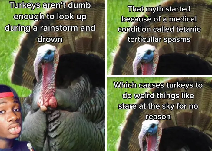 Guy Exposes 24 Animal Lies We Believe As Kids, Provides An Explanation About What Is Actually Happening